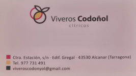 logo-viveros-codonol